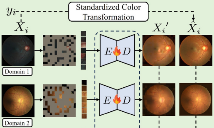 Revisiting Masked Image Modeling with Standardized Color Space for Domain Generalized Fundus Photography Classification