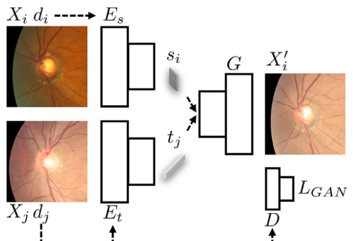 Structure-preserving image translation for multi-source medical image domain adaptation