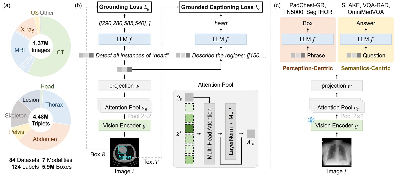 Overview of the location-aware fine-grained representation learning framework